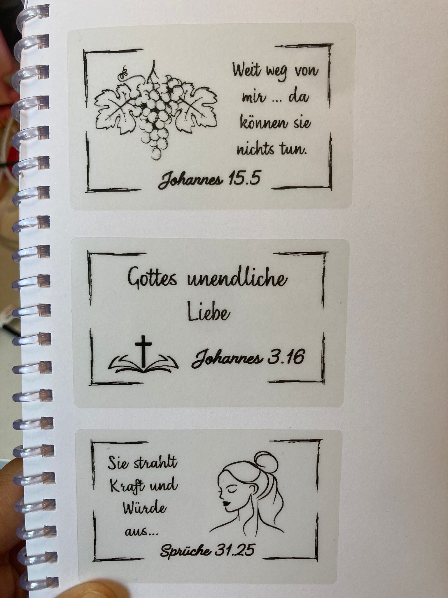 Set von 6  transparent stickers - 80x50mm